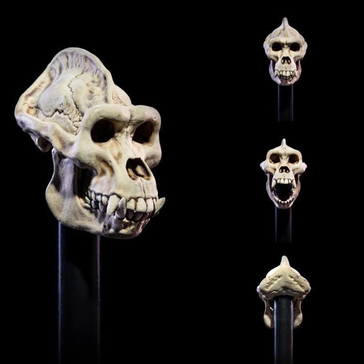 Mythic Legions: All-Stars Undead Heads Pack