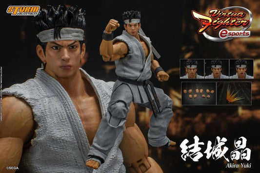 Storm Collectibles - Virtua Fighter 5 Akira Yuki 1/12 Scale Figure