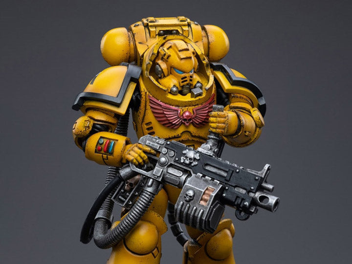 Warhammer 40K - Imperial Fists - Heavy Intercessor Polad Lycalrad