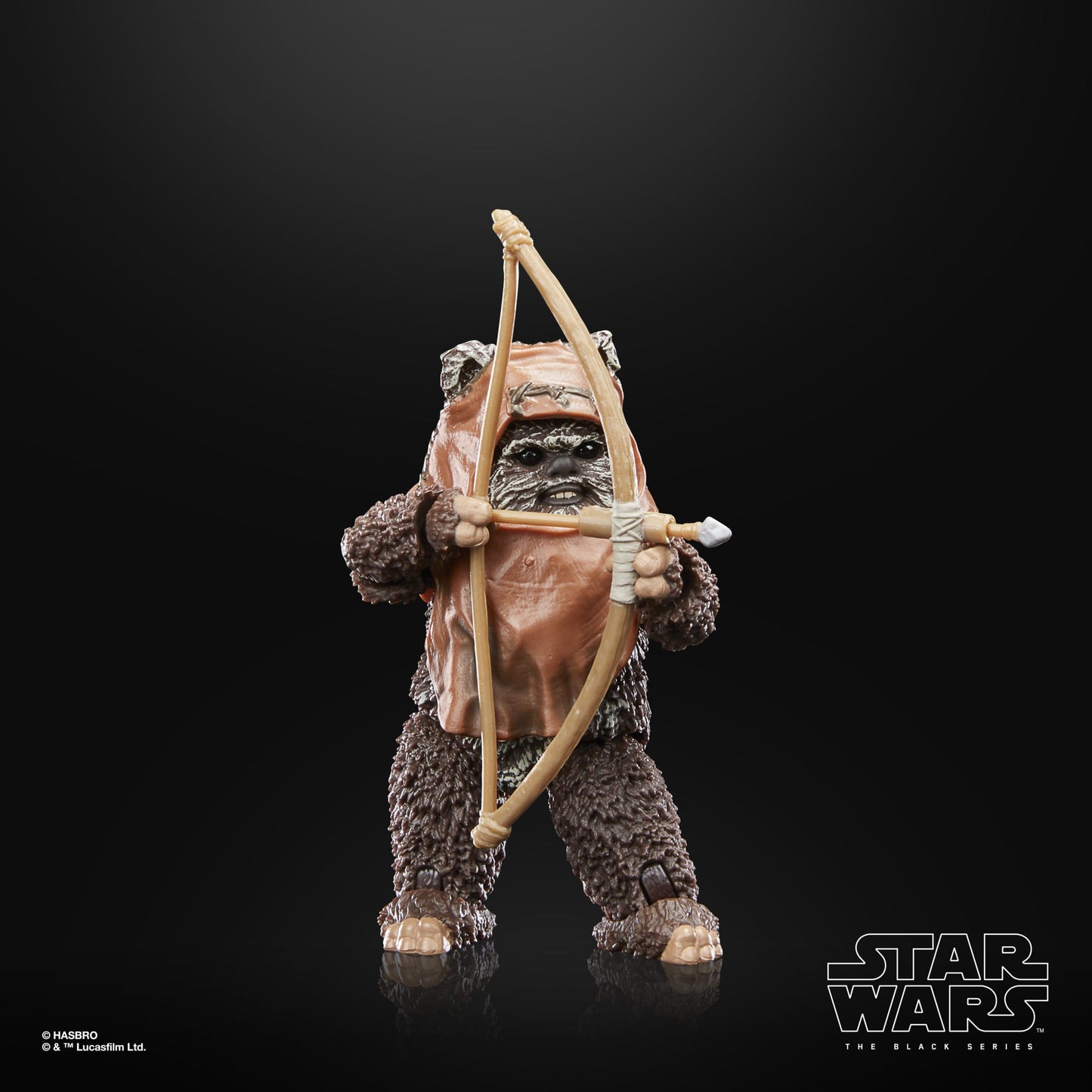 Star Wars The Black Series Wicket Action Figures