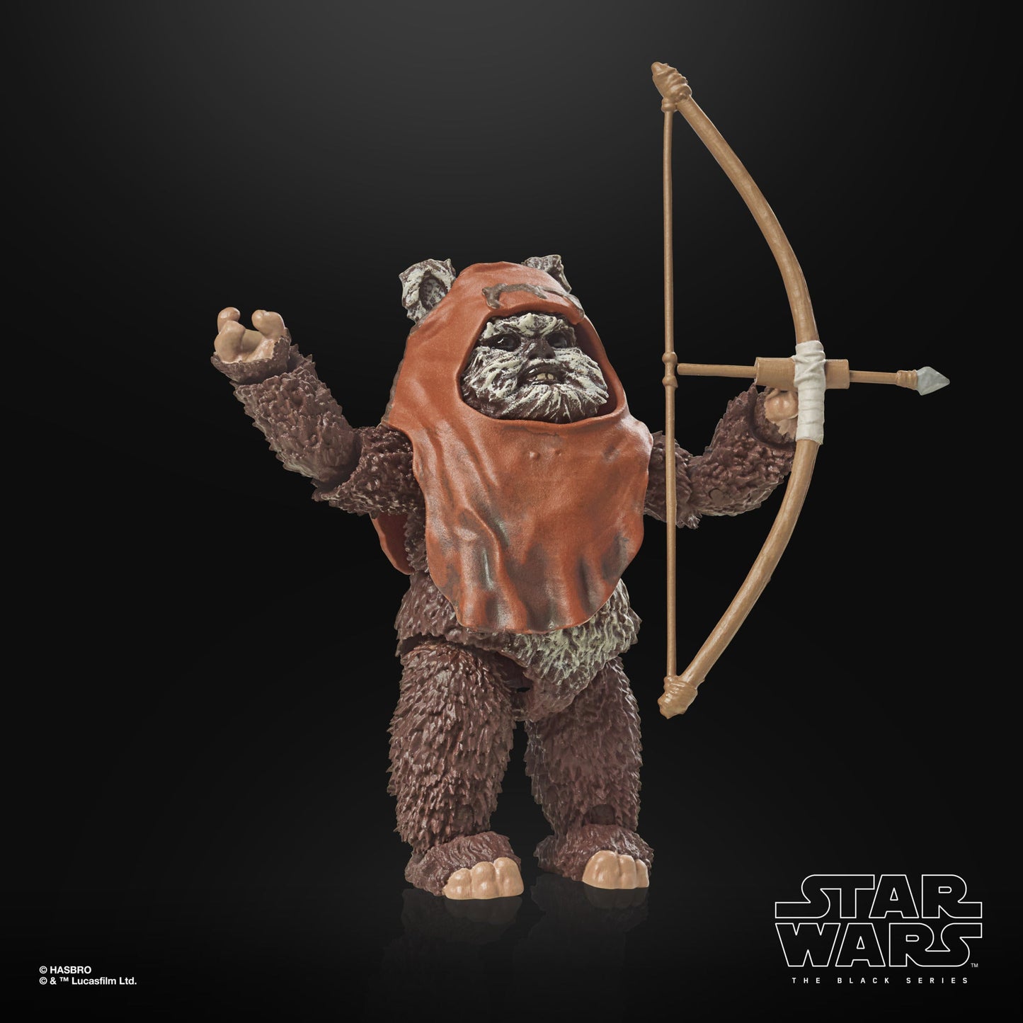Star Wars The Black Series Wicket Action Figures