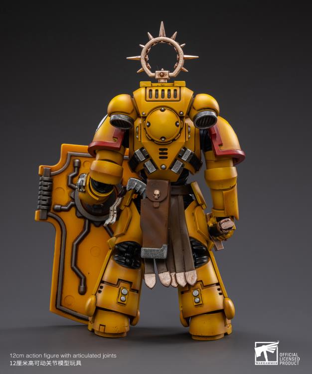 Warhammer 40K - Imperial Fists - Veteran Brother Thracius