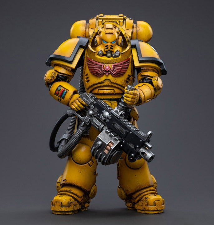 Warhammer 40K - Imperial Fists - Heavy Intercessor Polad Lycalrad