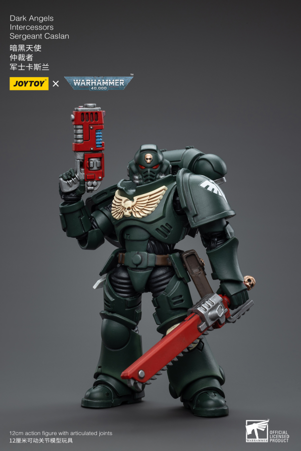 Warhammer 40K - Dark Angels - Intercessors Sergeant Rakiel