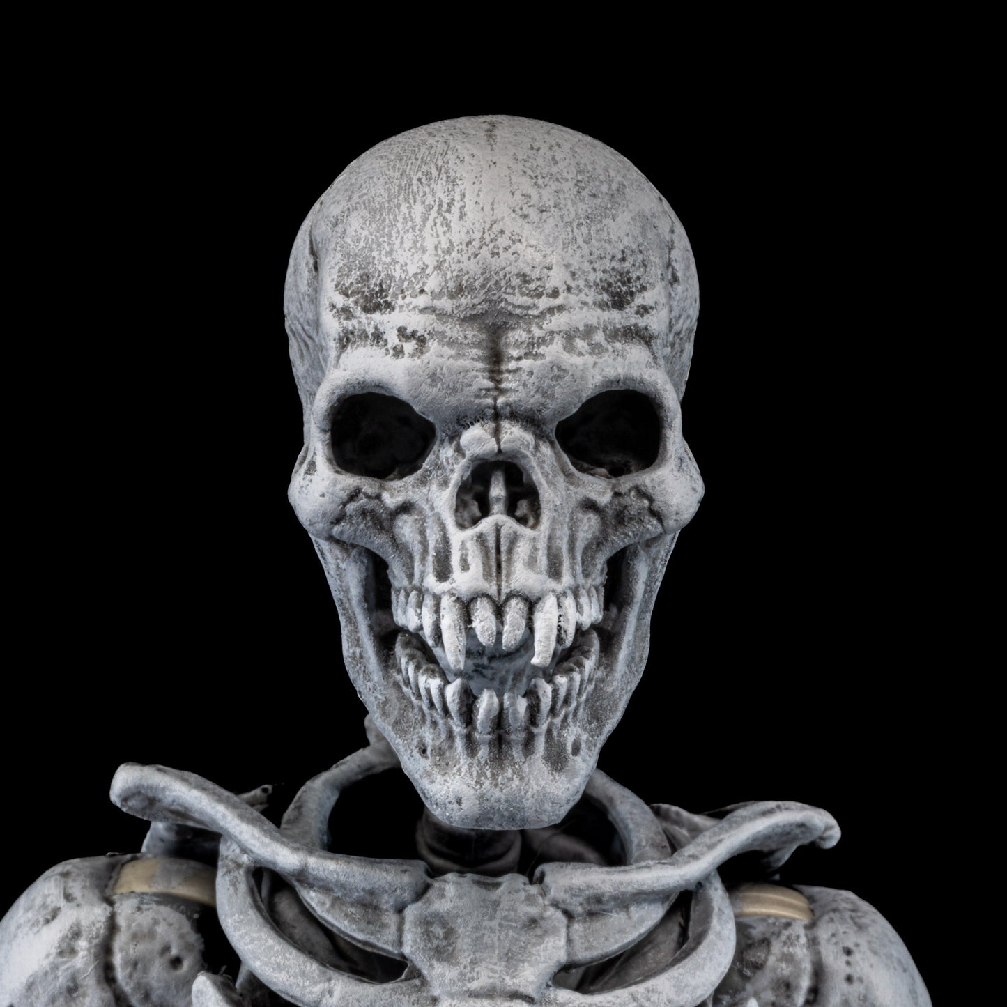 Mythic Legions - Graveyard Skeletons 4-pack