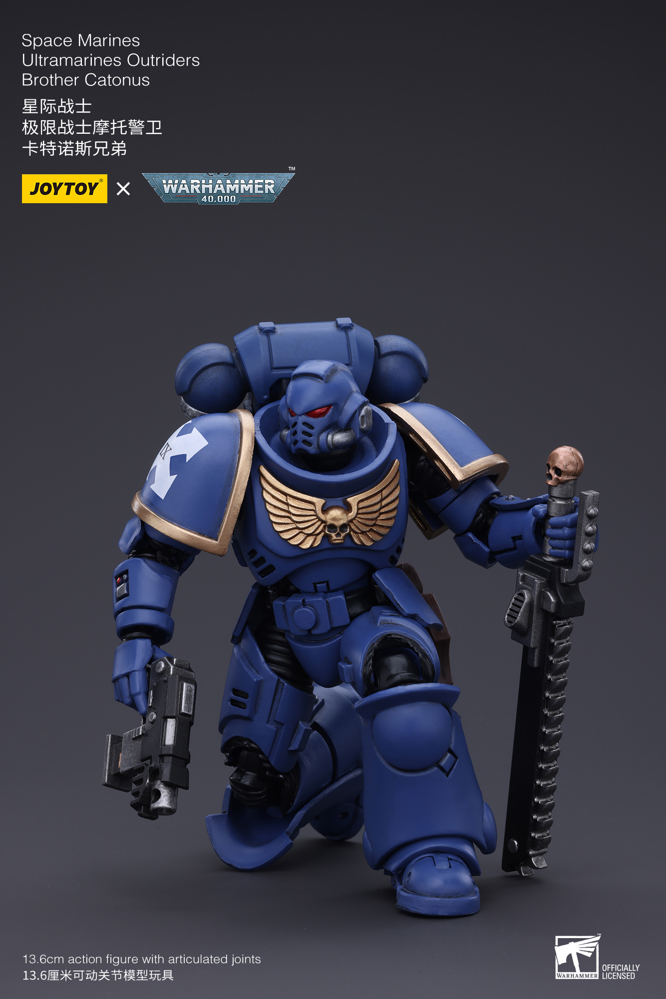 Warhammer 40k - Ultramarines - Intercessors Brother Catonus
