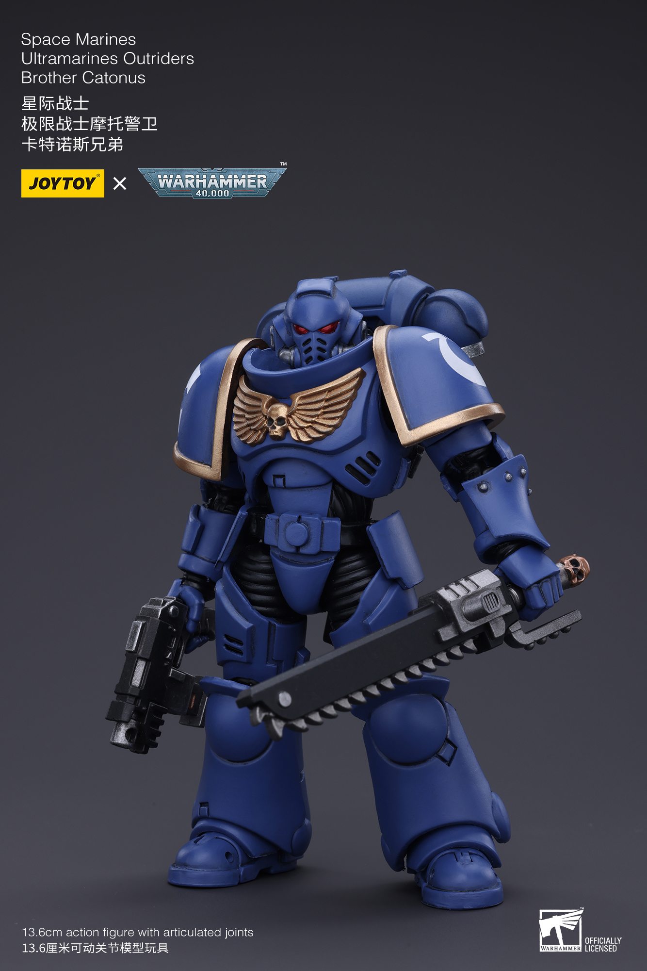 Warhammer 40k - Ultramarines - Intercessors Brother Catonus