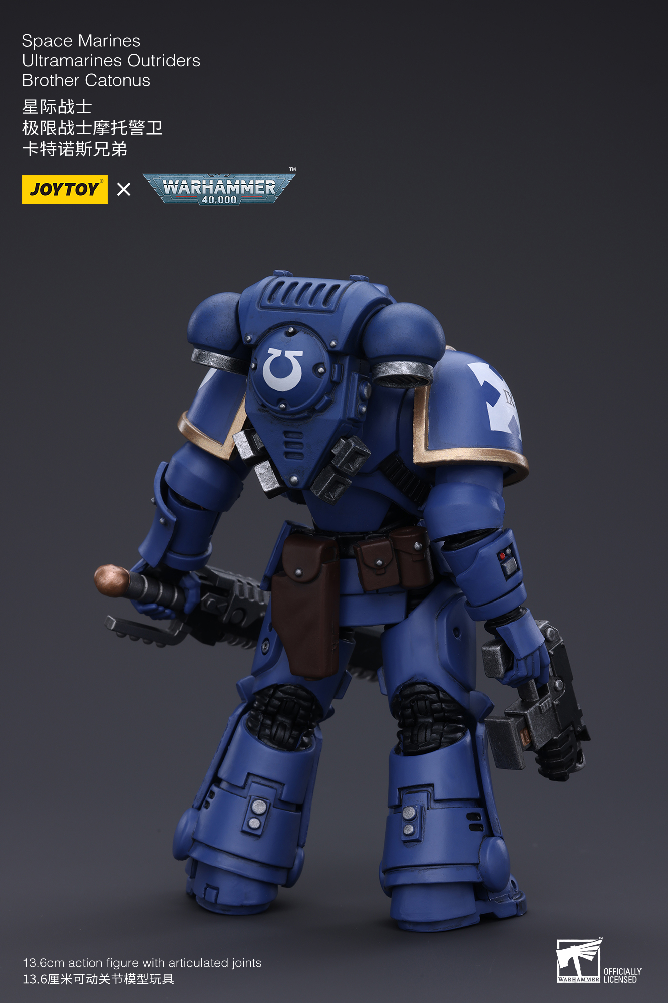 Warhammer 40k - Ultramarines - Intercessors Brother Catonus