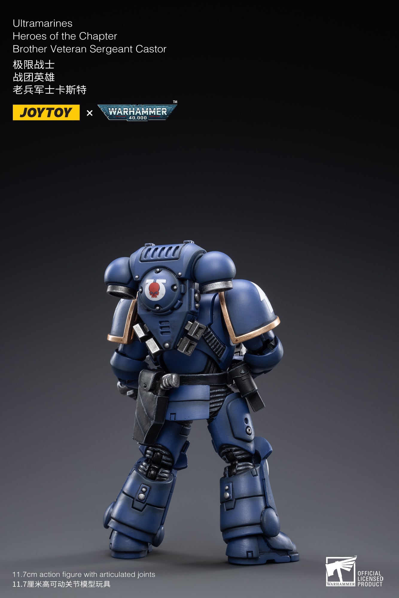Warhammer 40K - Ultramarines - Brother Veteran Sergeant Castor