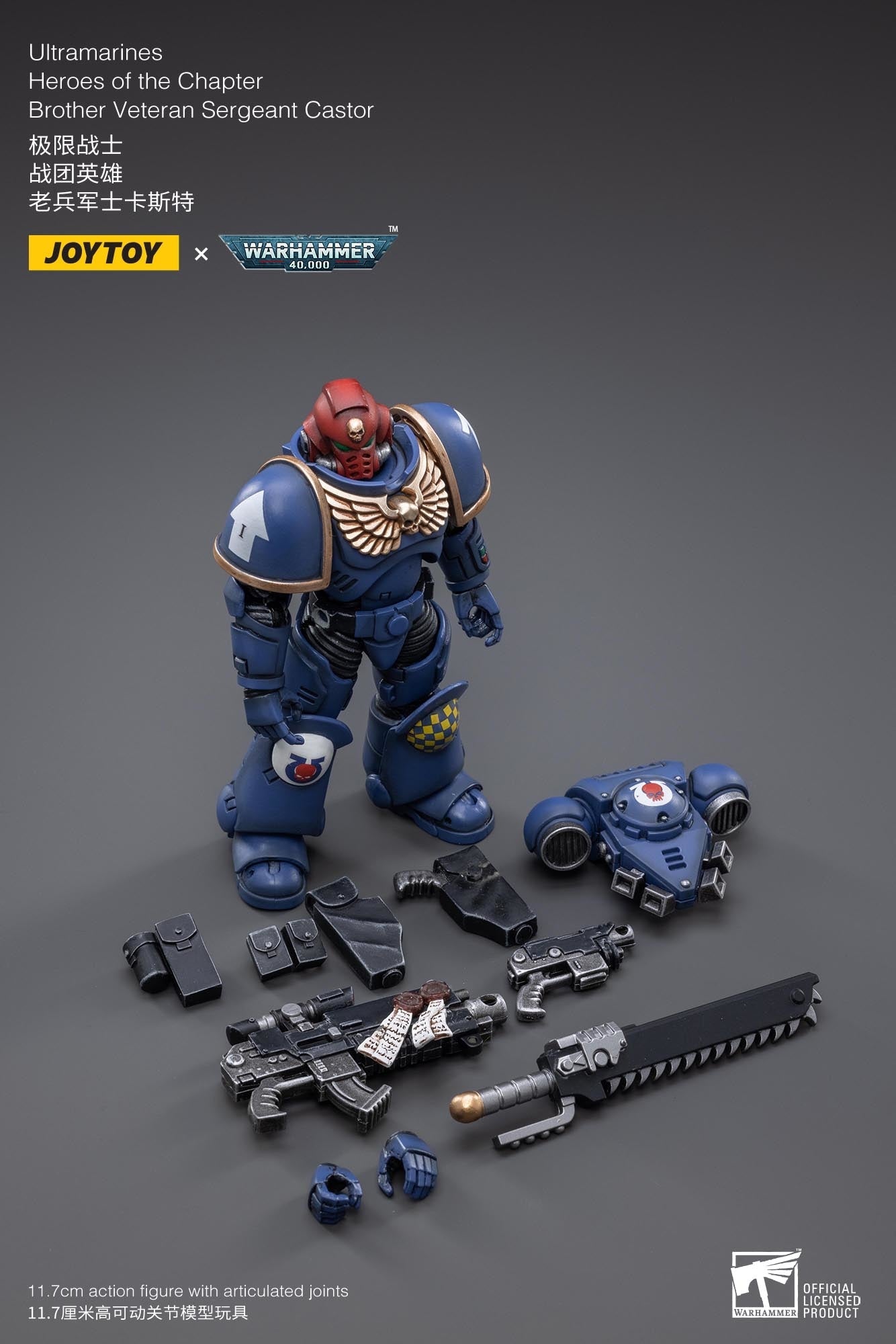 Warhammer 40K - Ultramarines - Brother Veteran Sergeant Castor