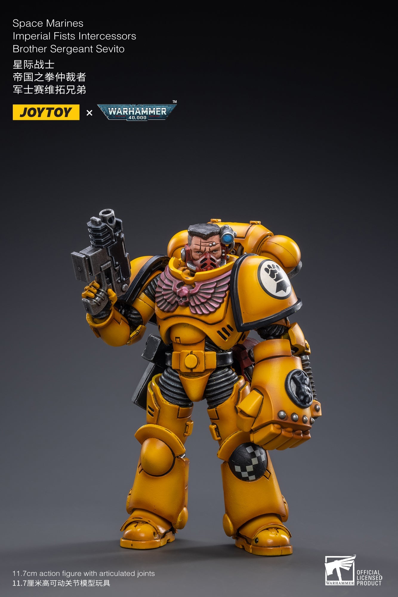 Warhammer 40K - Imperial Fists - Intercessor Sergeant Sevito