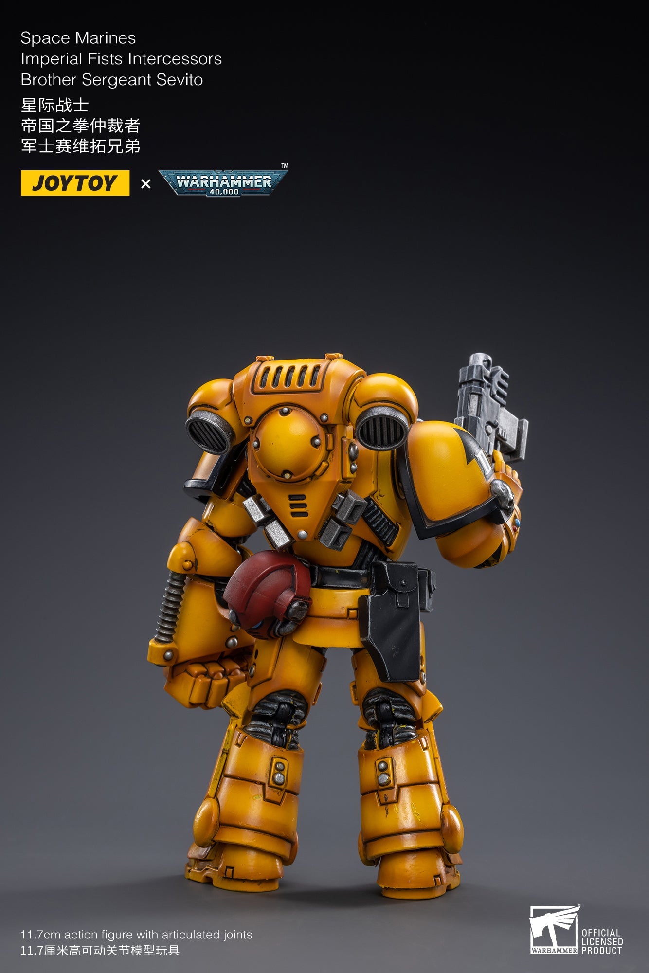 Warhammer 40K - Imperial Fists - Intercessor Sergeant Sevito