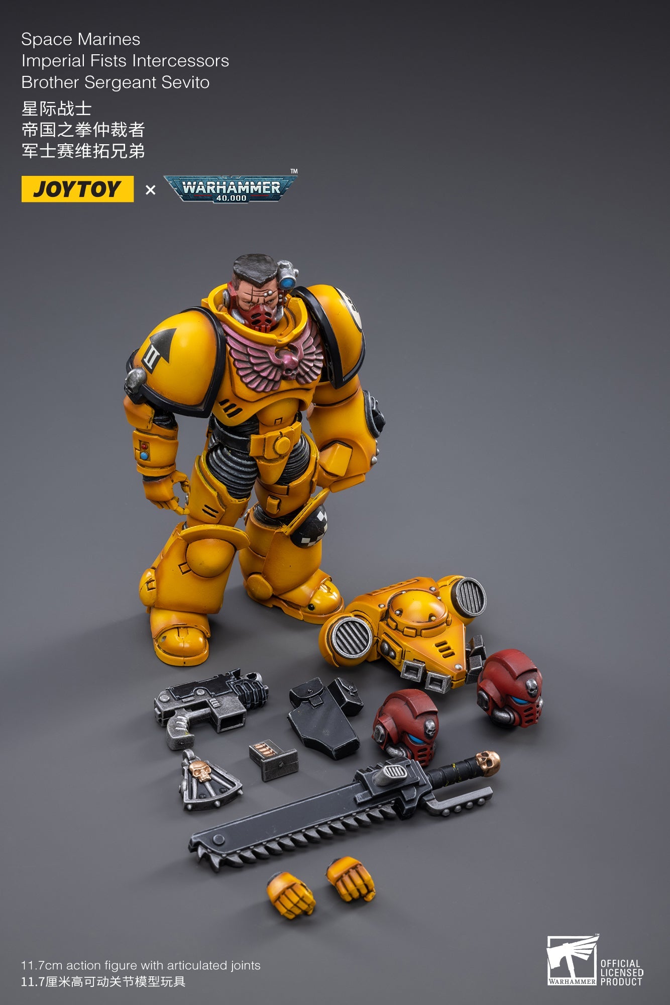 Warhammer 40K - Imperial Fists - Intercessor Sergeant Sevito
