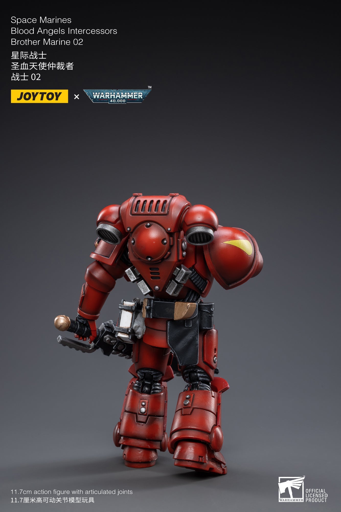Warhammer 40K - Blood Angels - Intercessors Marine 02