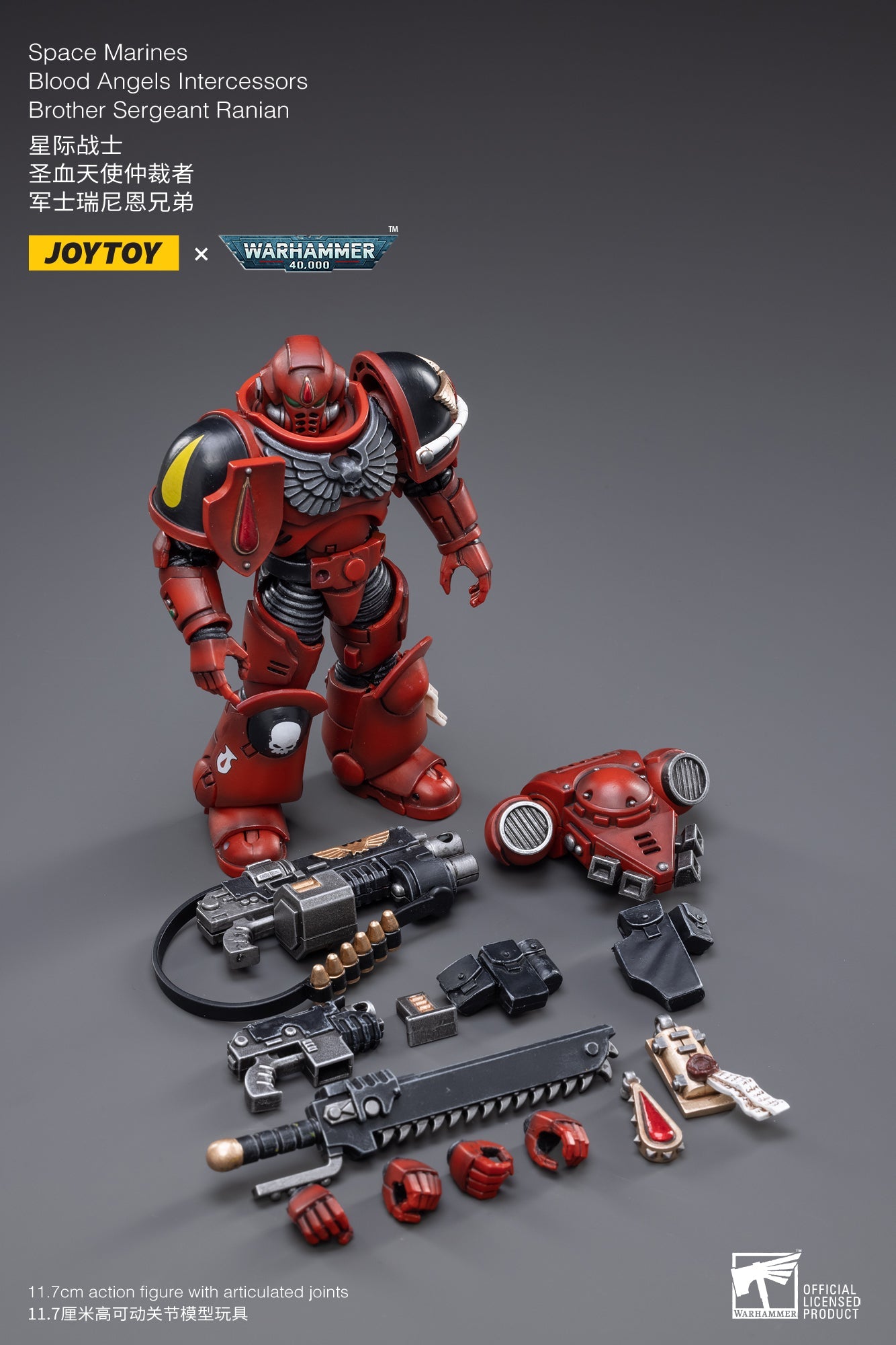 Warhammer 40K - Blood Angels - Intercessors Sergeant Ranian