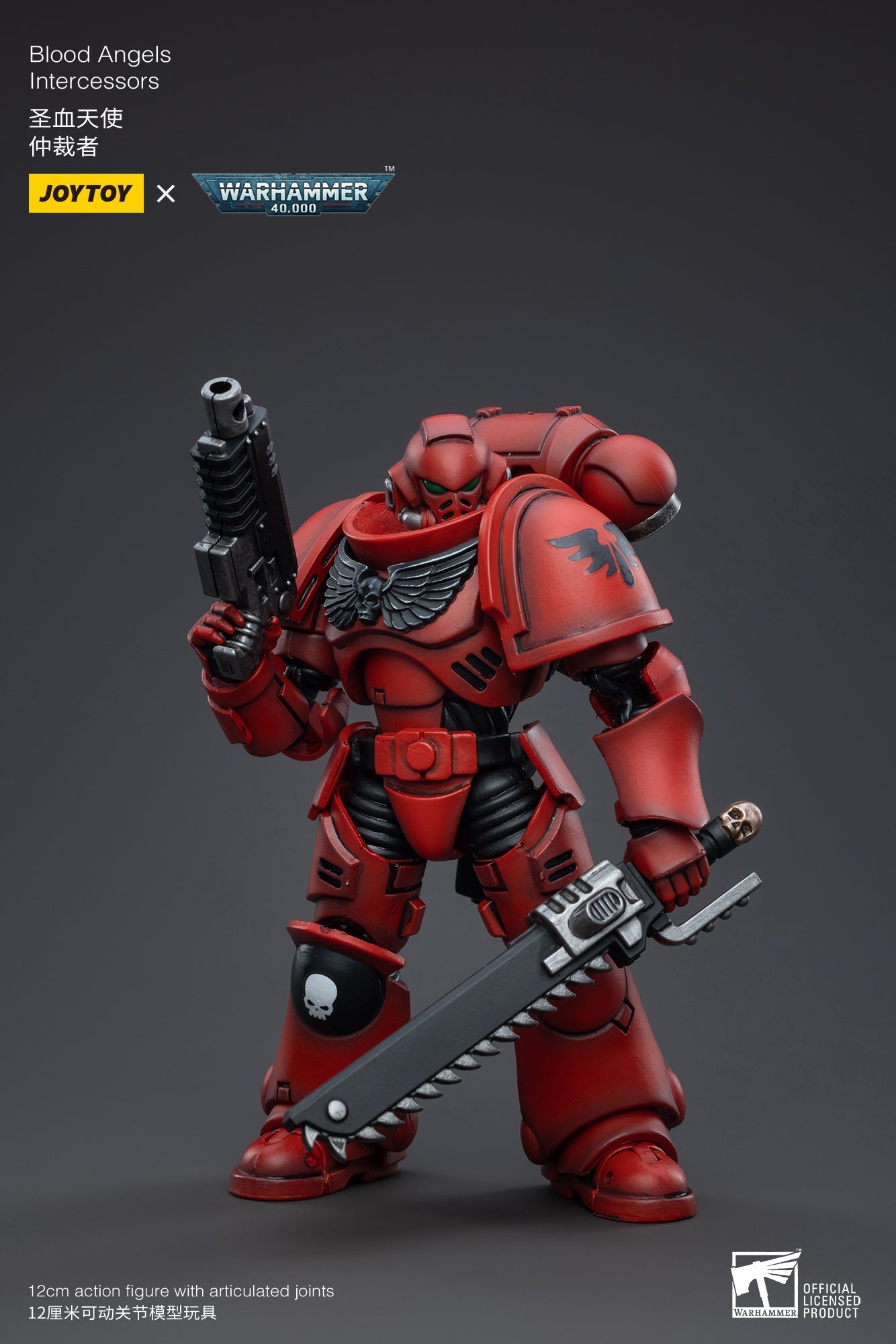 Warhammer 40K - Blood Angels - Intercessors