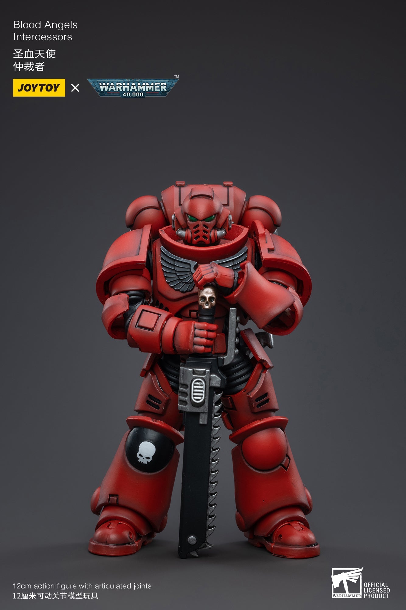 Warhammer 40K - Blood Angels - Intercessors