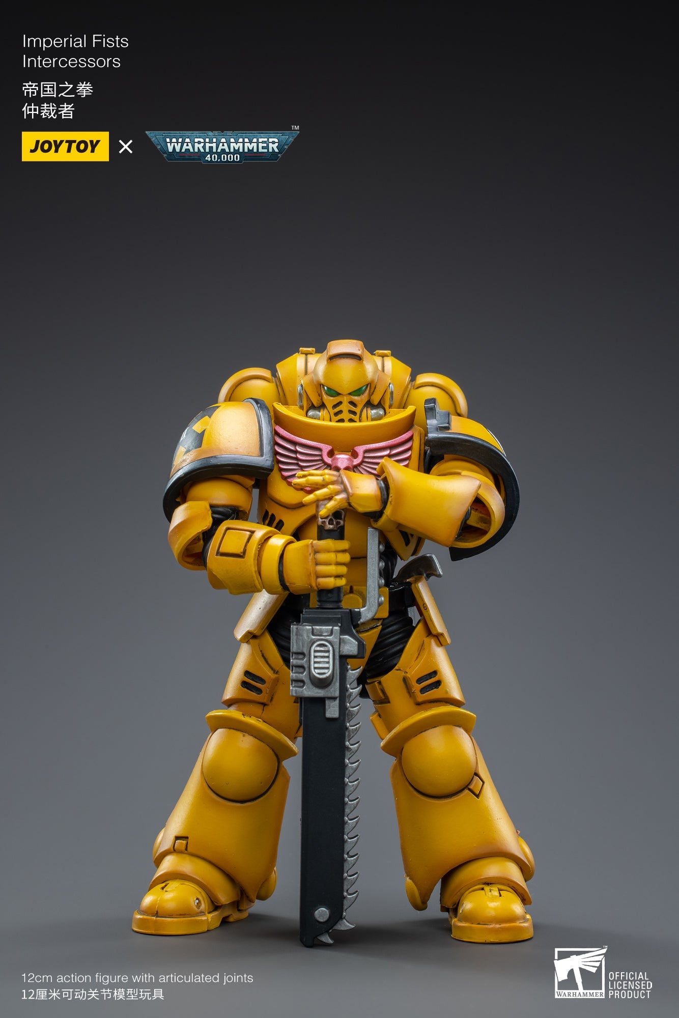 Warhammer 40K - Imperial Fists - Intercessors