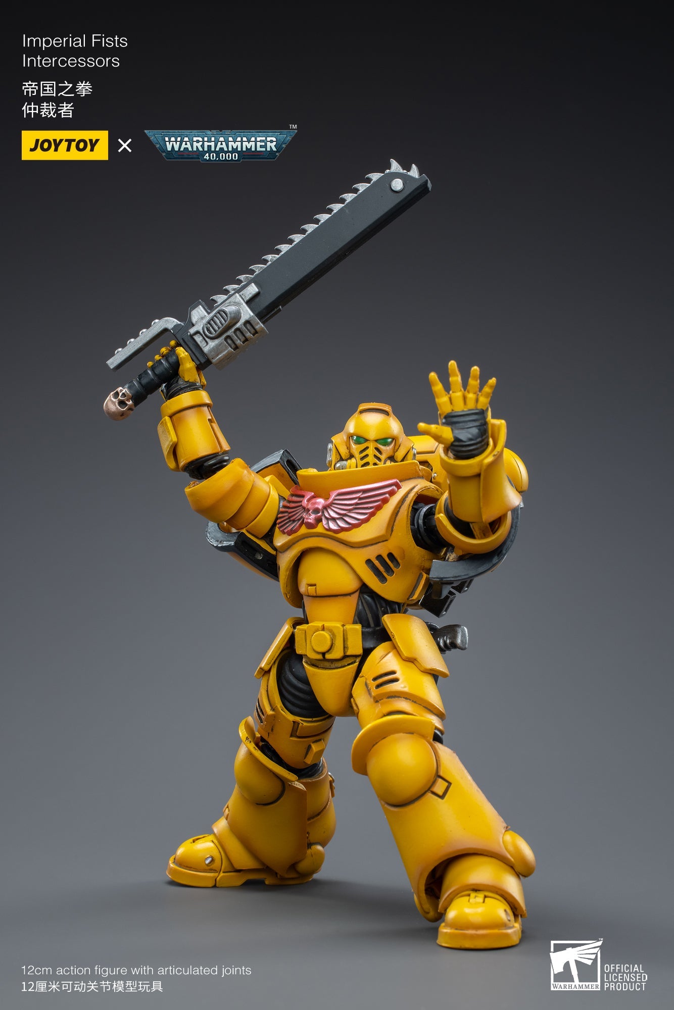 Warhammer 40K - Imperial Fists - Intercessors