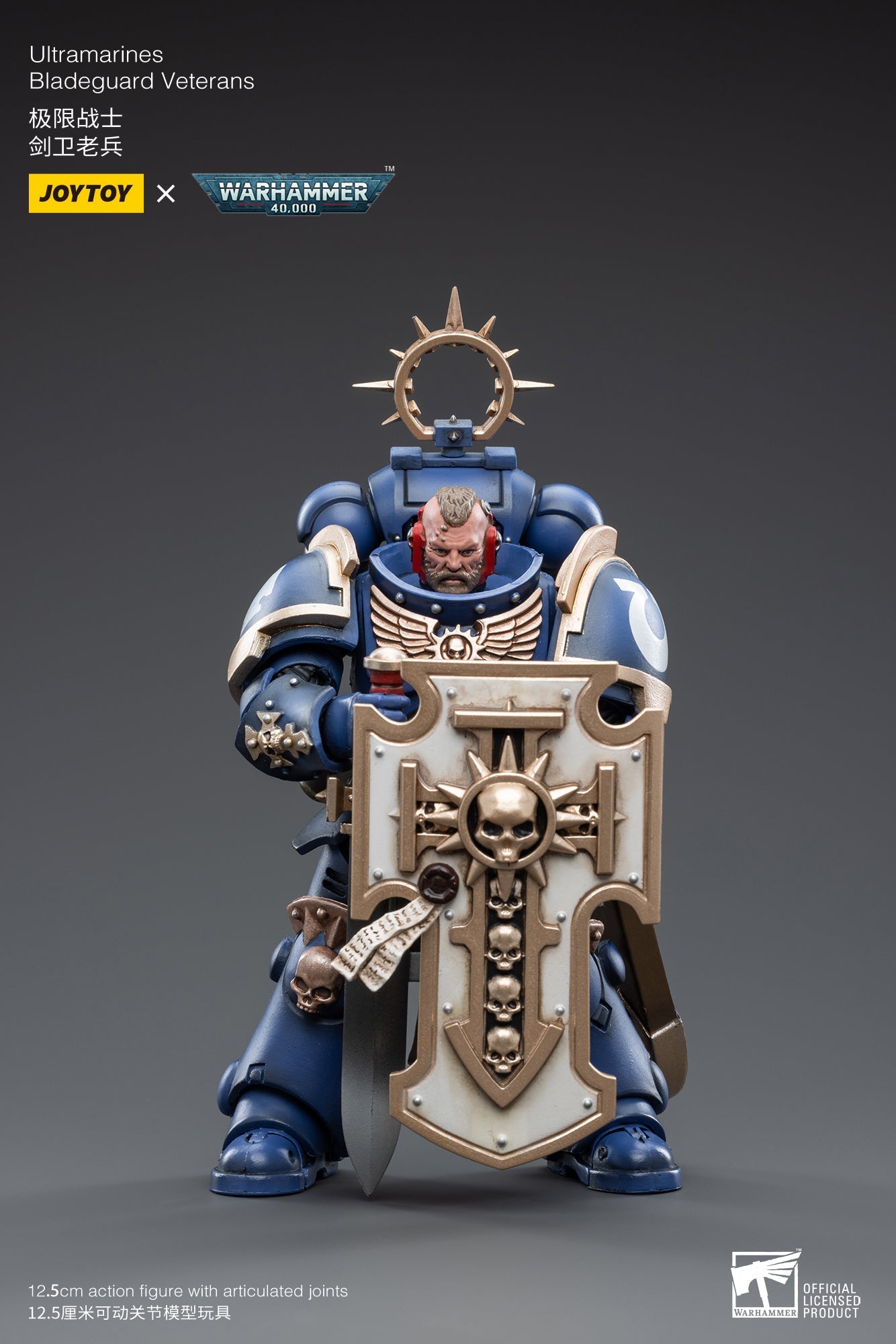 Warhammer 40K - Ultramarines - Bladeguard Veterans 04