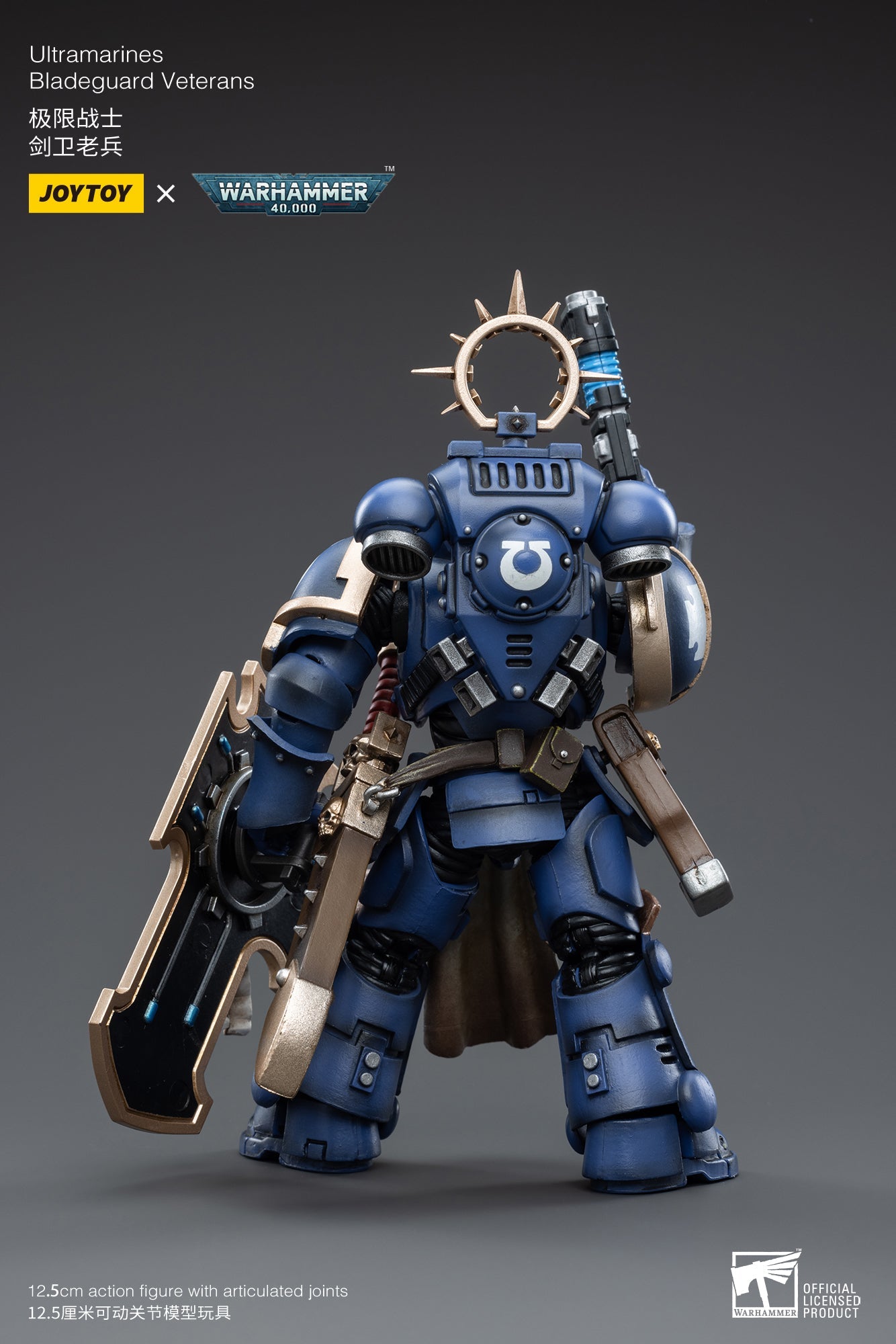 Warhammer 40K - Ultramarines - Bladeguard Veterans 04