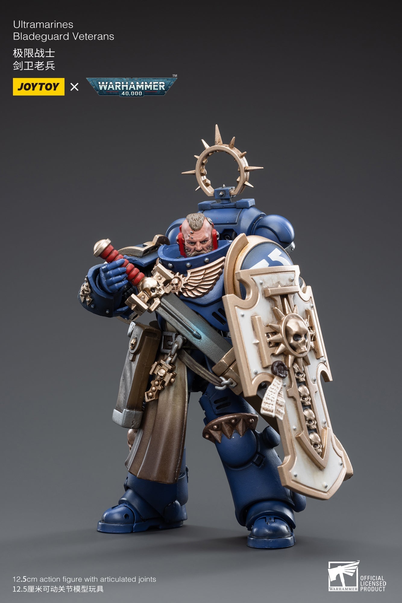 Warhammer 40K - Ultramarines - Bladeguard Veterans 04