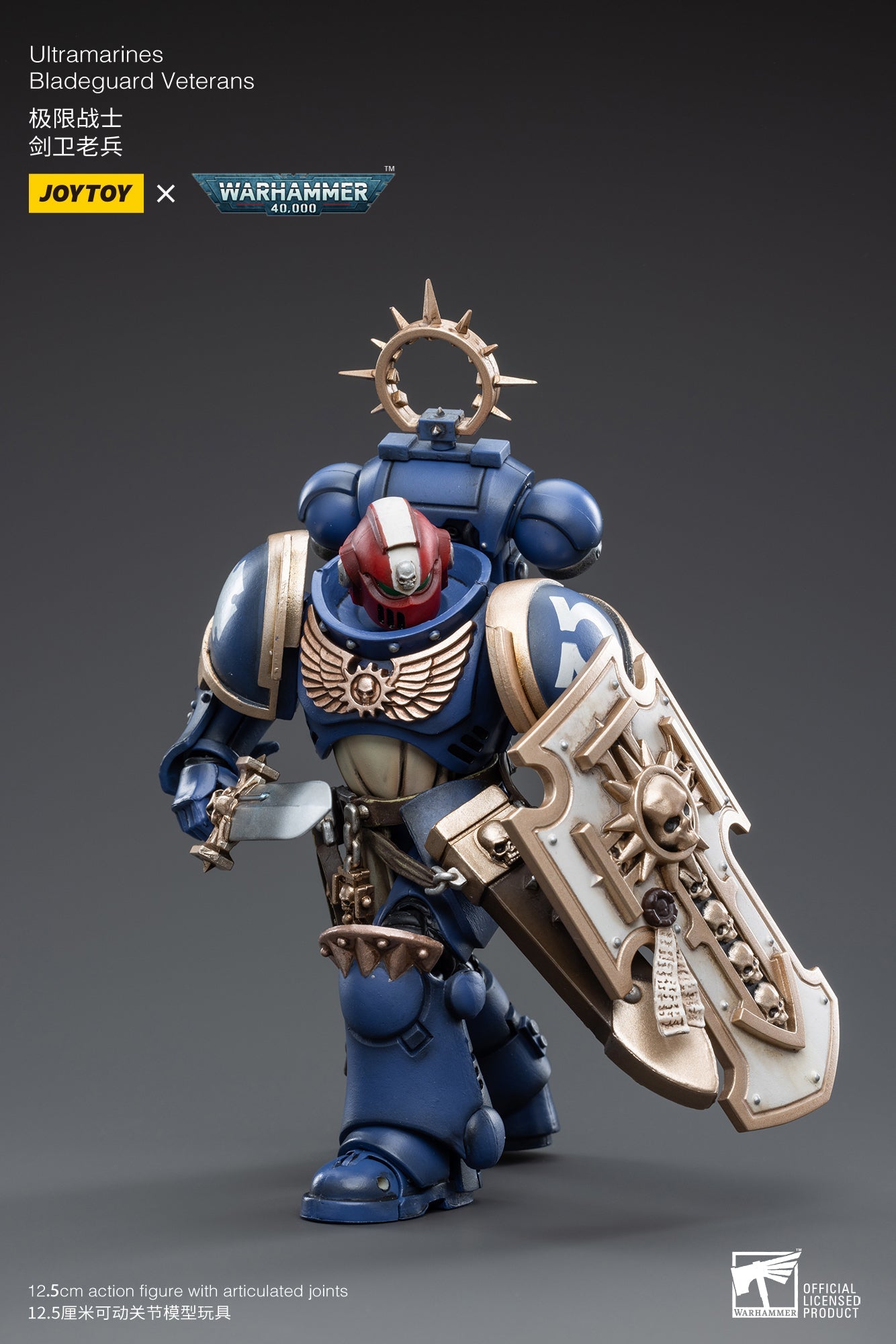 Warhammer 40K - Ultramarines - Bladeguard Veterans 04