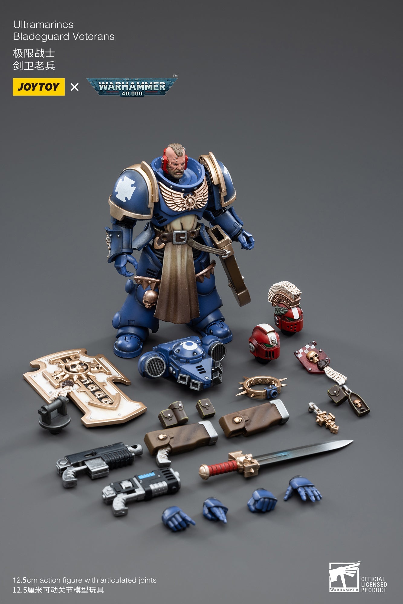 Warhammer 40K - Ultramarines - Bladeguard Veterans 04