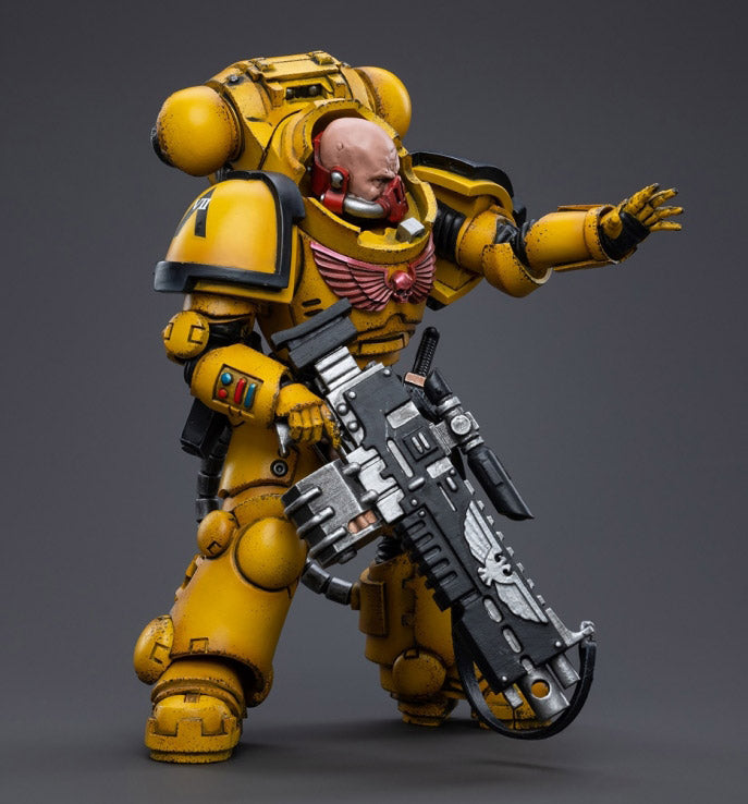 Warhammer 40K - Imperial Fists - Heavy Intercessor Rogfried Pertanal