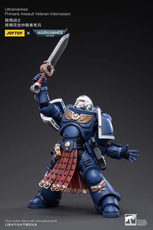 Warhammer 40K - Ultramarines - Veteran Intercessor