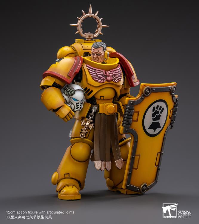 Warhammer 40K - Imperial Fists - Veteran Brother Thracius
