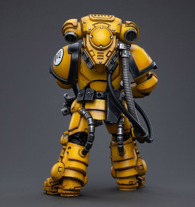 Warhammer 40K - Imperial Fists - Heavy Intercessor Polad Lycalrad