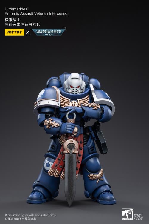 Warhammer 40K - Ultramarines - Veteran Intercessor