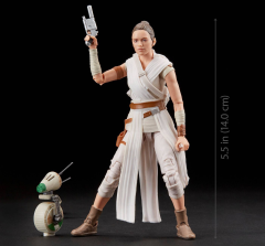 Star Wars: The Black Series 6" Rey & D-O (The Rise of Skywalker)