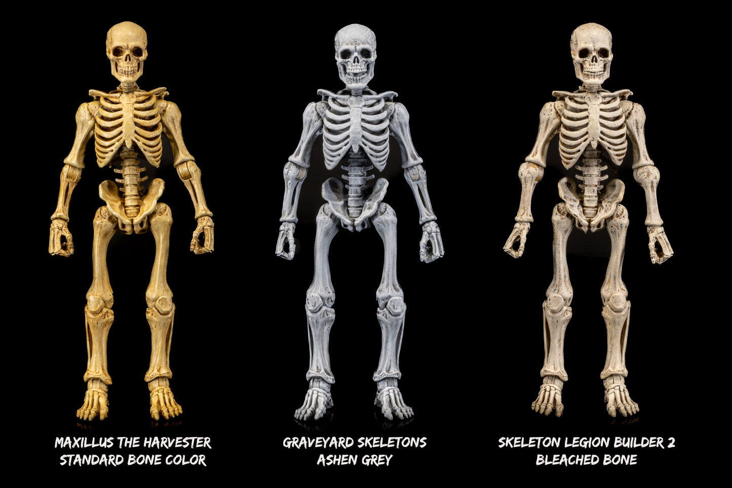 Mythic Legions - Graveyard Skeletons 4-pack